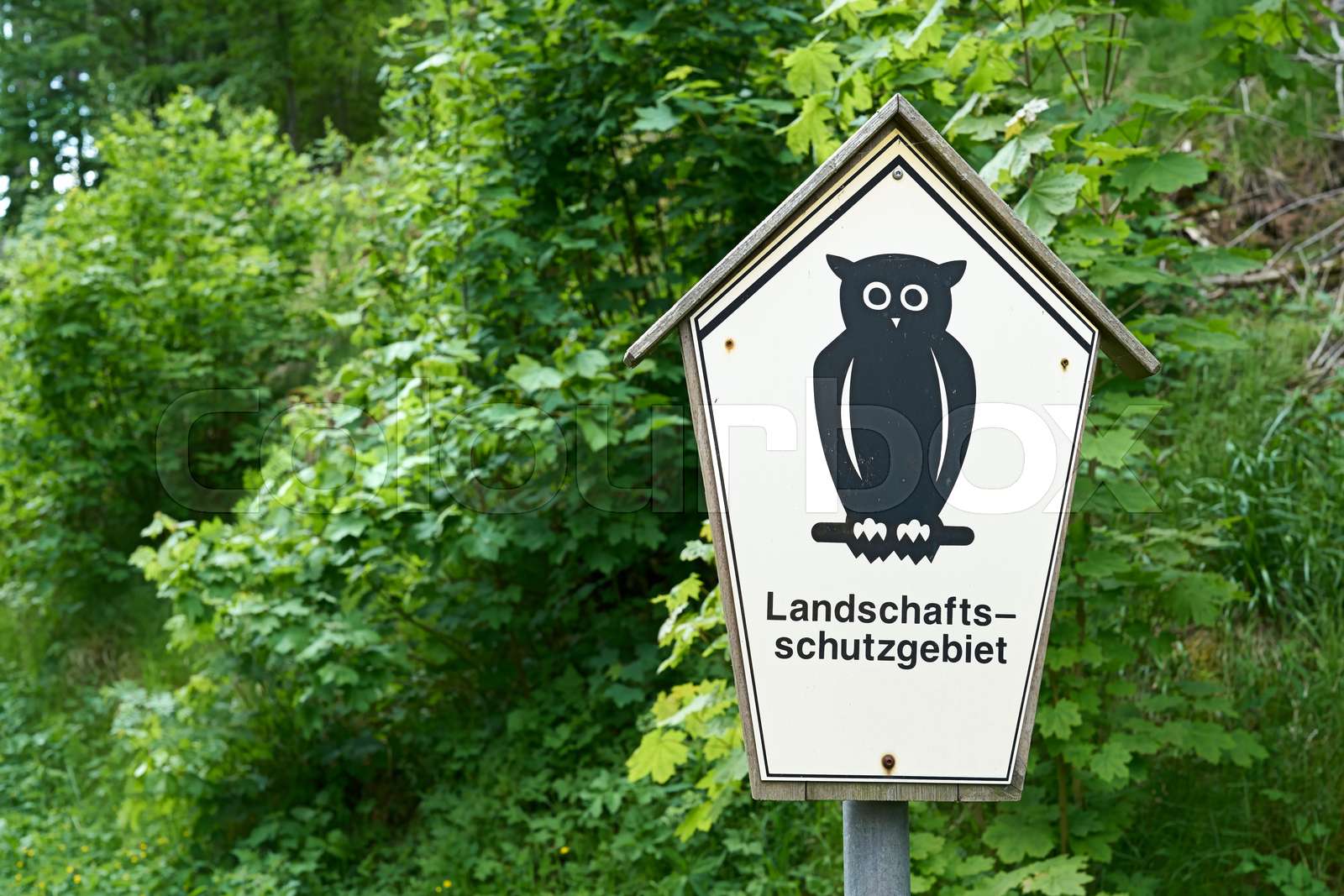 Landschaftsschutzgebiet | Stock Bild | Colourbox