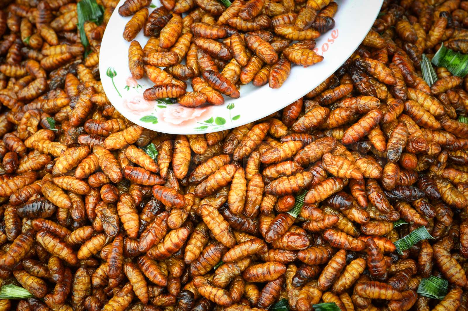Worm insect fried crispy fried silk worms bamboo insect protein rich ...