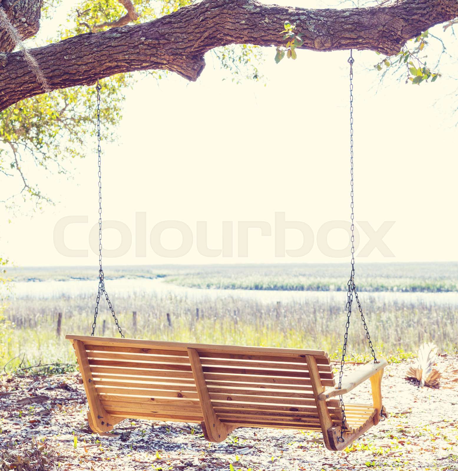 Wooden swing | Stock image | Colourbox