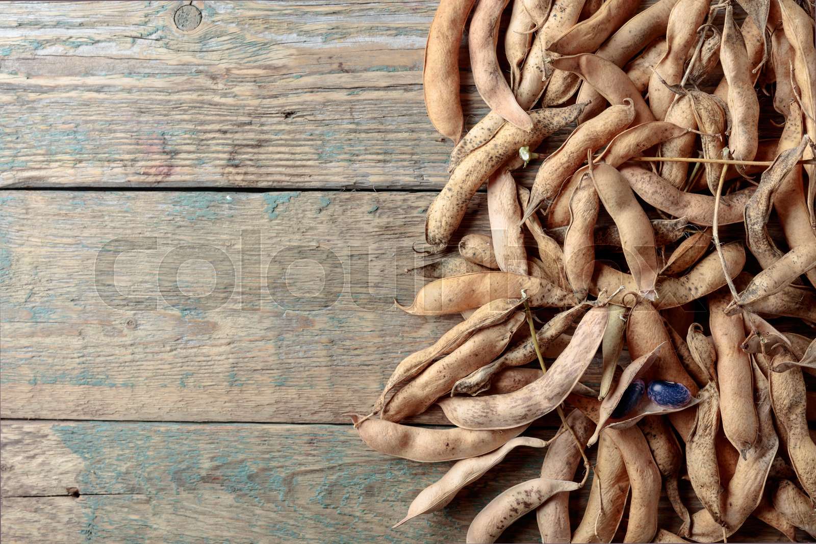 Dry bean pods, healthy organic food. Stock image Colourbox