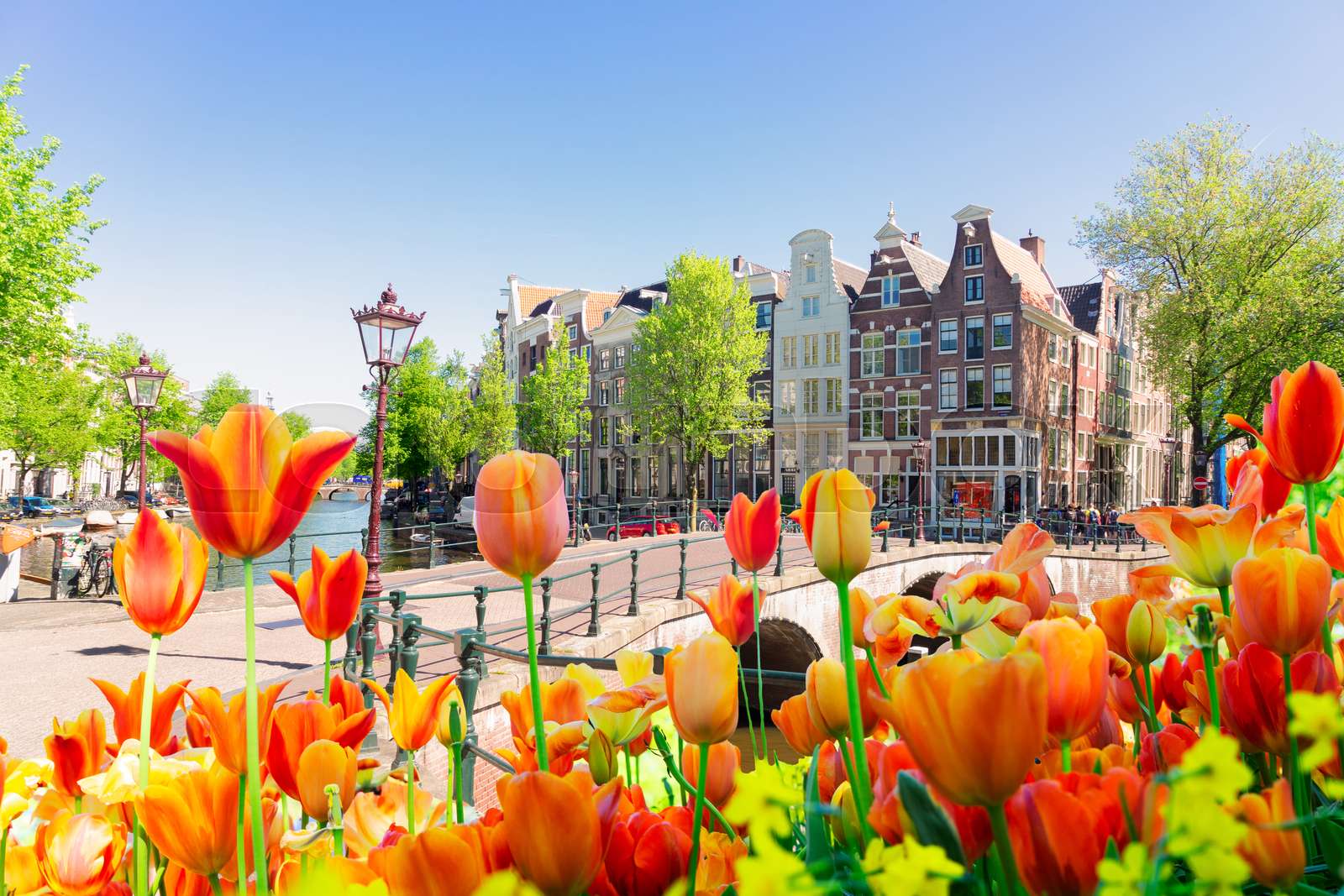houses-of-amstardam-netherlands-stock-image-colourbox