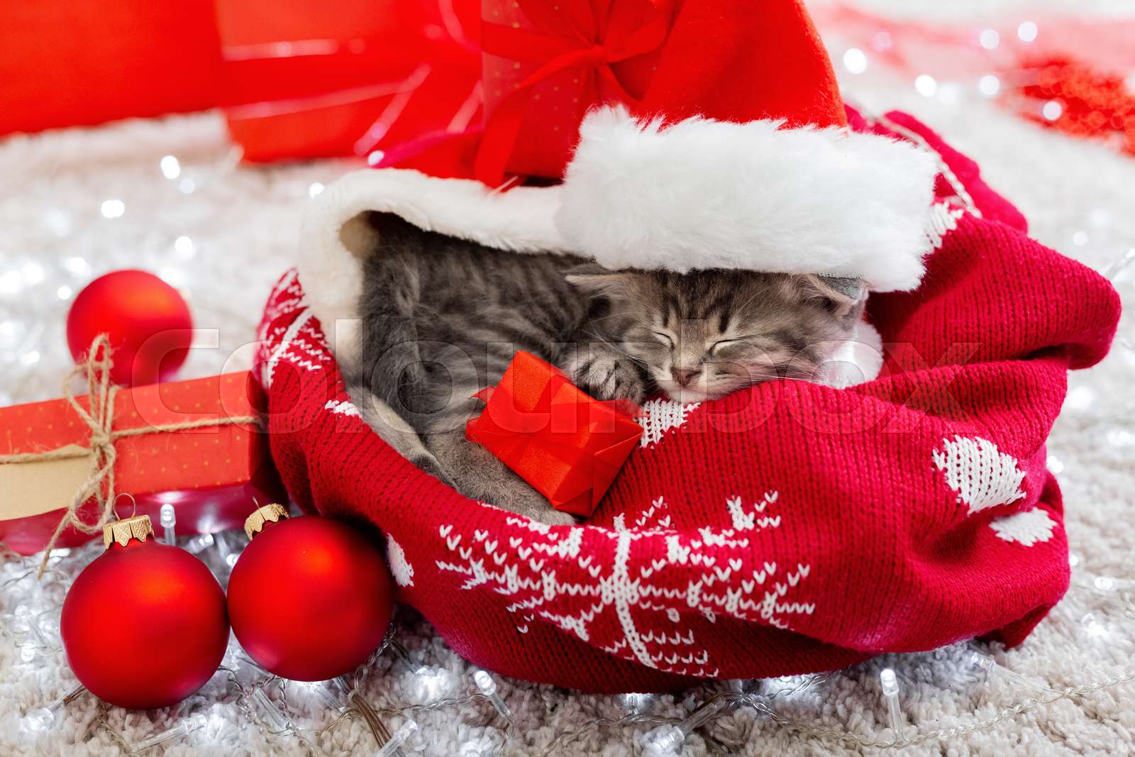 kitty cat christmas