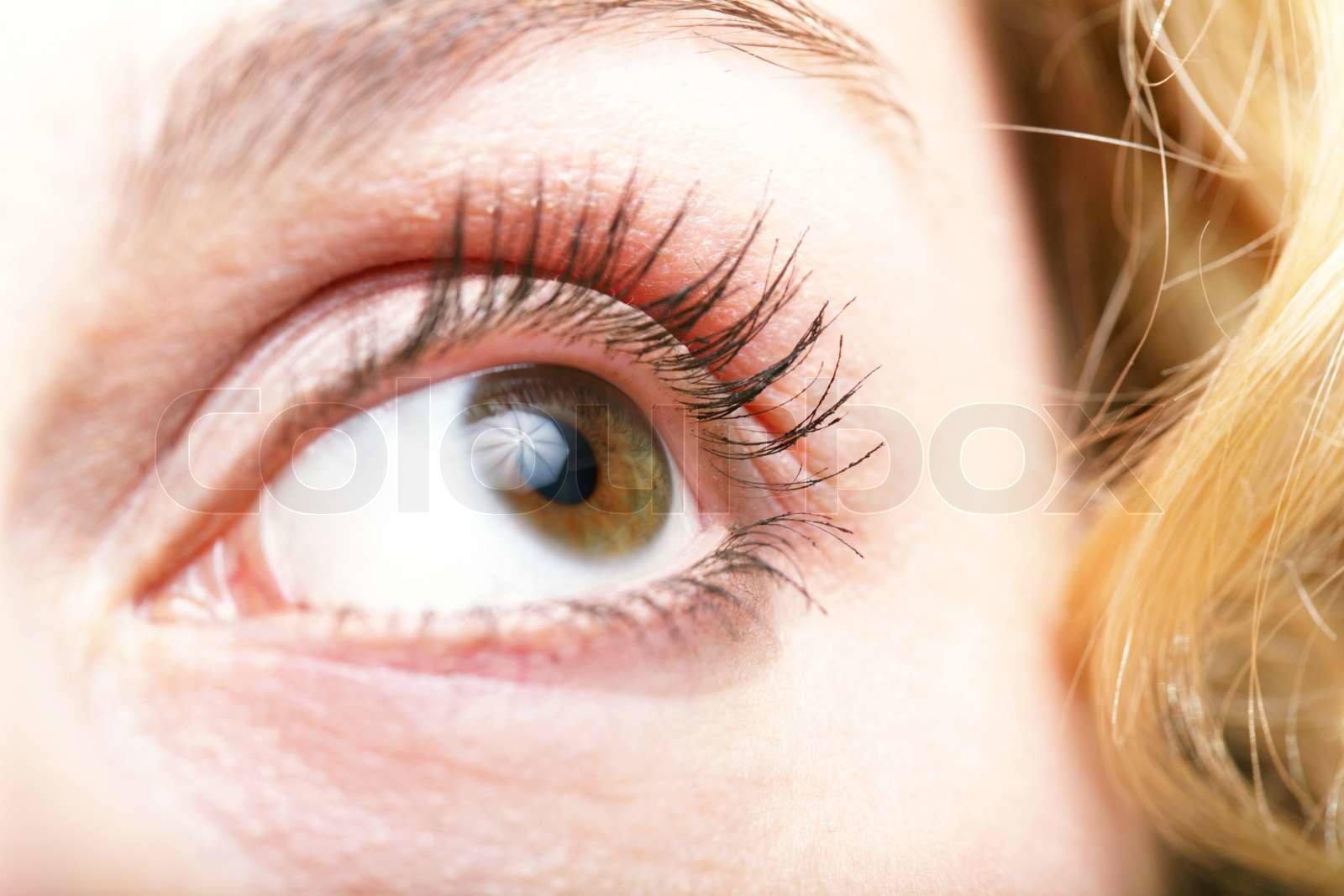 Eye Stock image Colourbox