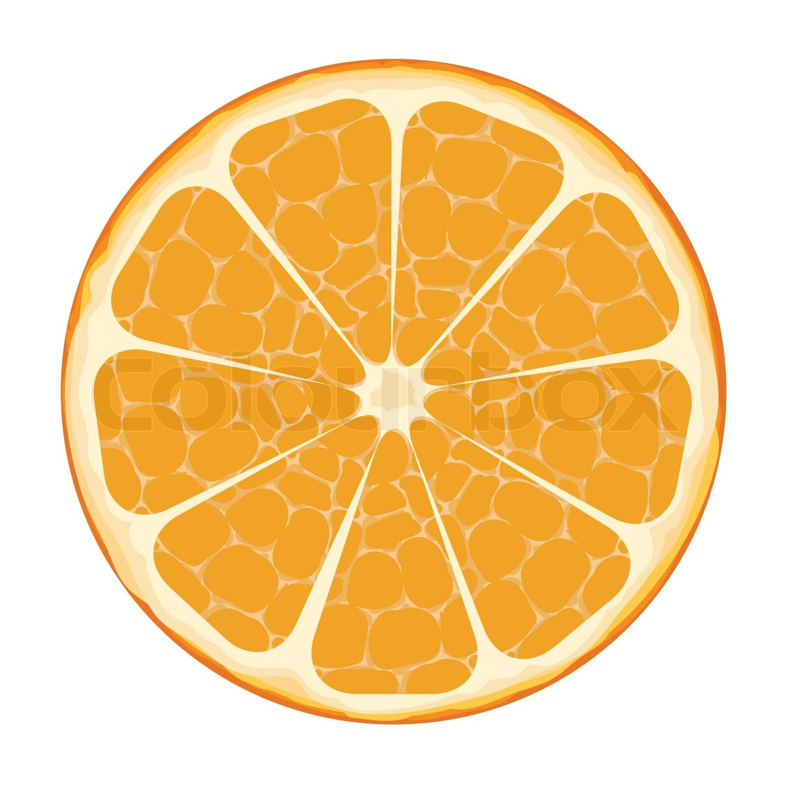Orange Slice Vector Art Stock vector Colourbox