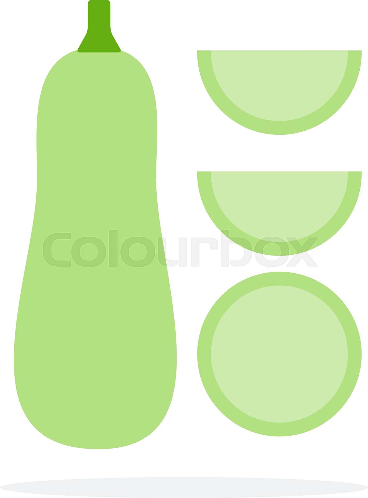 Zucchini upright, round slice of zucchini and two wedges of zucchini