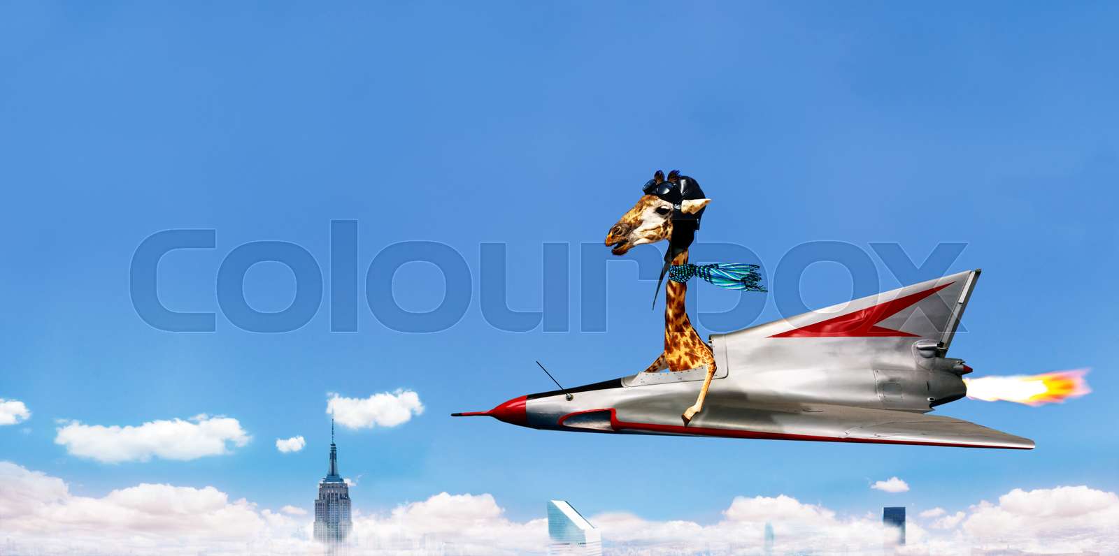 Giraffe flying fast on the jet plane over city Stock image Colourbox