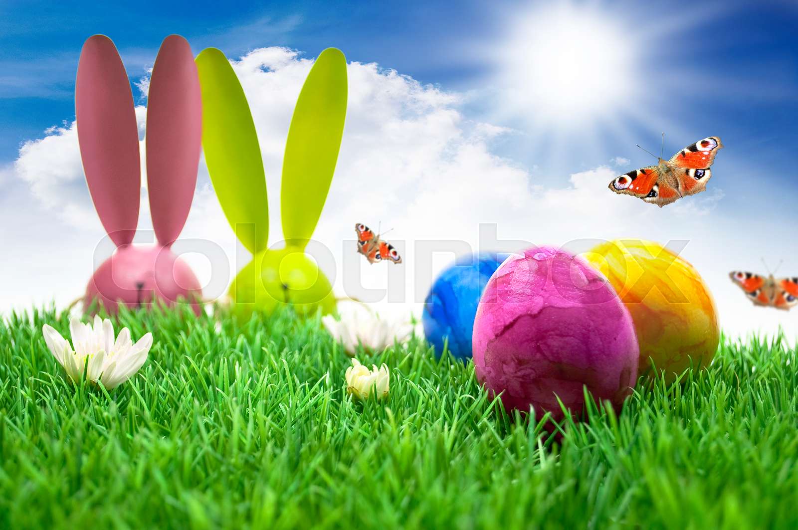 Osterhase hinter einer Wiese mit Ostereiern | Stock image | Colourbox