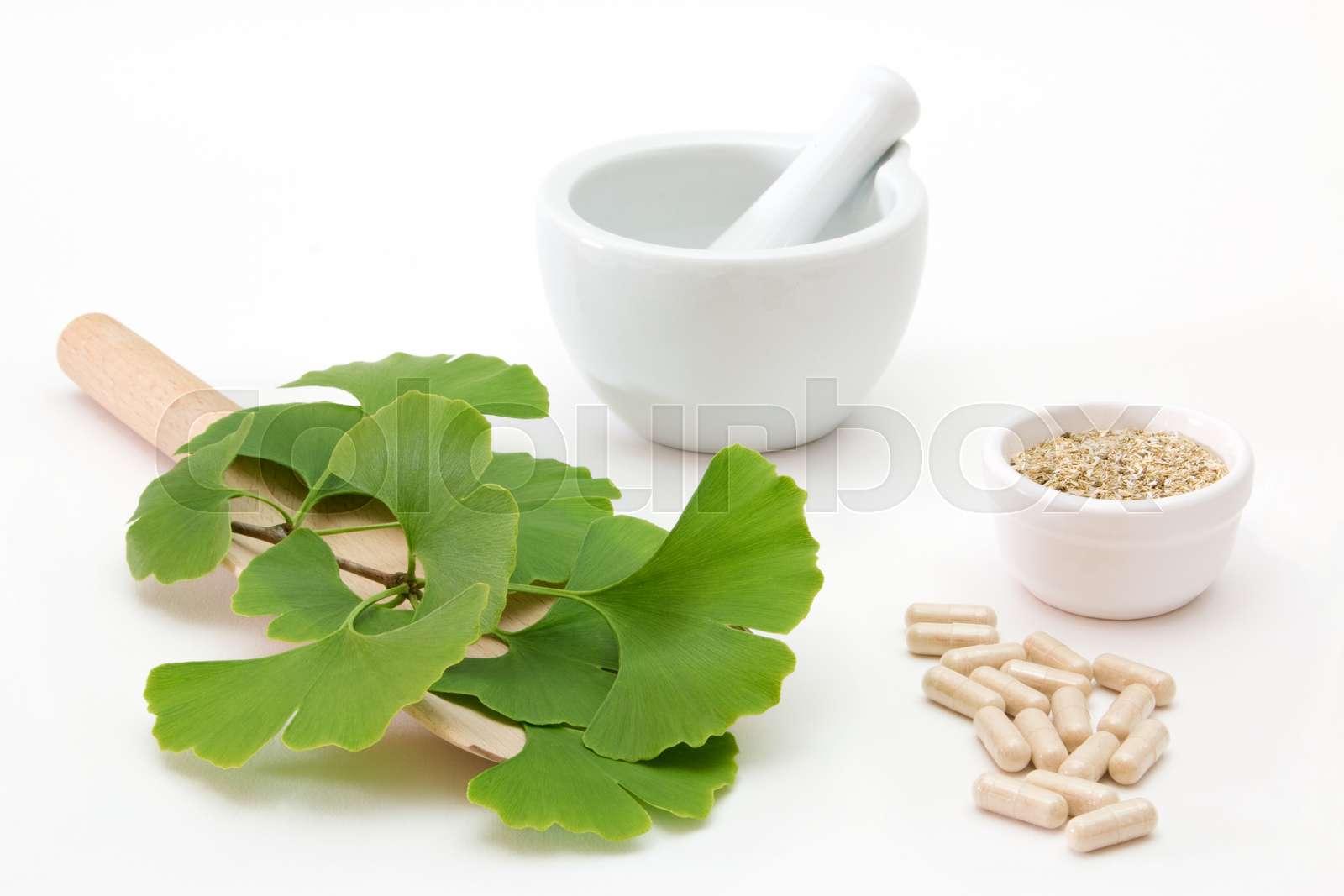 ginkgo medicine | Stock image | Colourbox