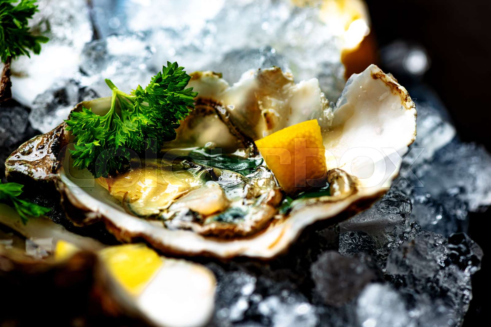 Raw opened oysters on crushed ice Stock image Colourbox