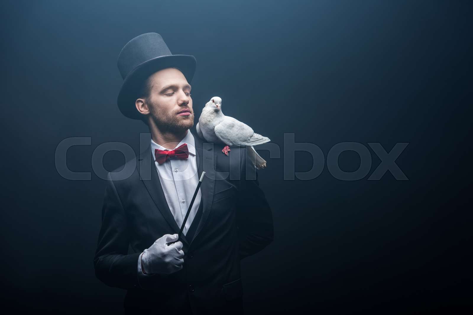 Dove sitting on shoulder of magician in hat with wand in dark room with