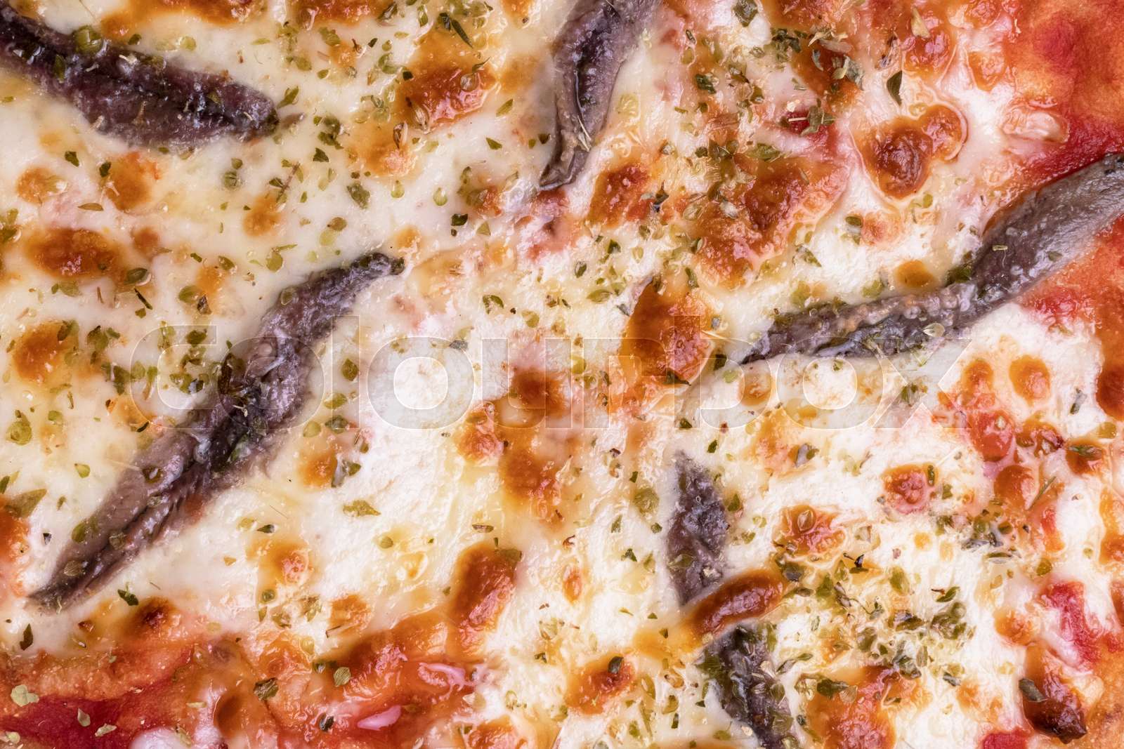 Pizza with anchovies | Stock image | Colourbox