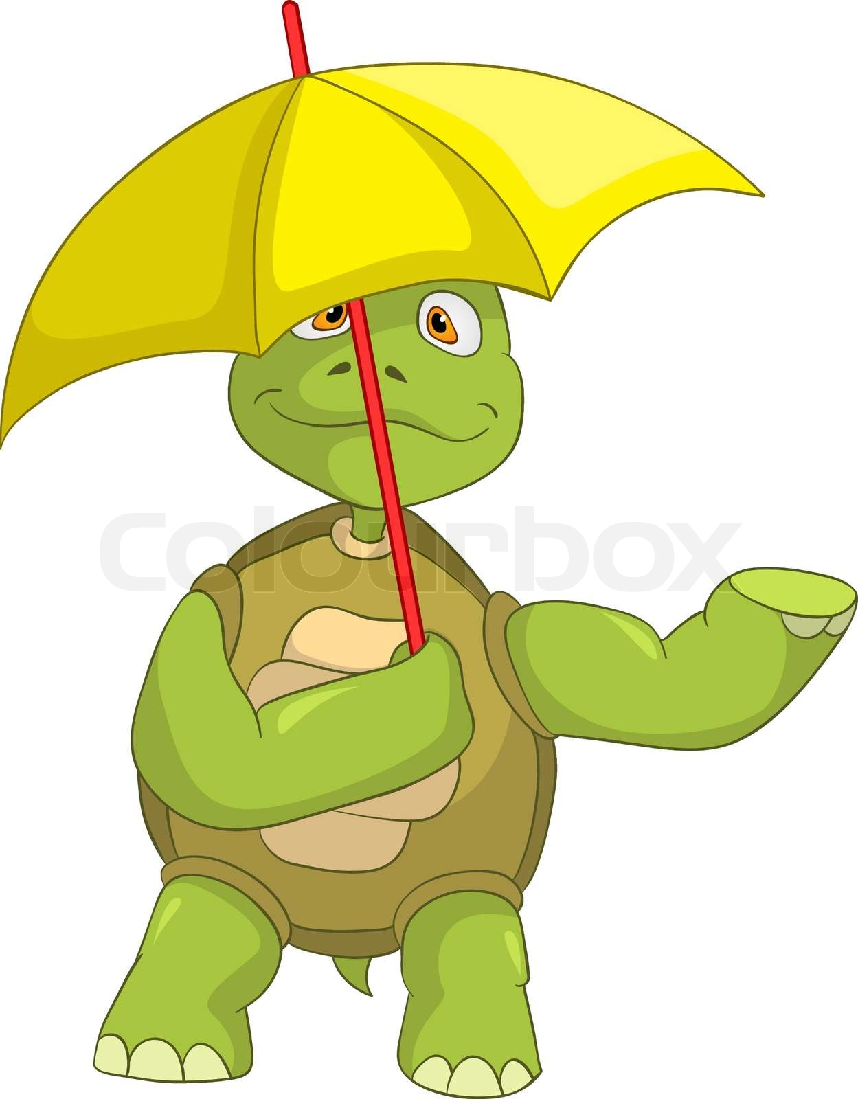 lustigen Schildkröte | Stock-Vektor | Colourbox