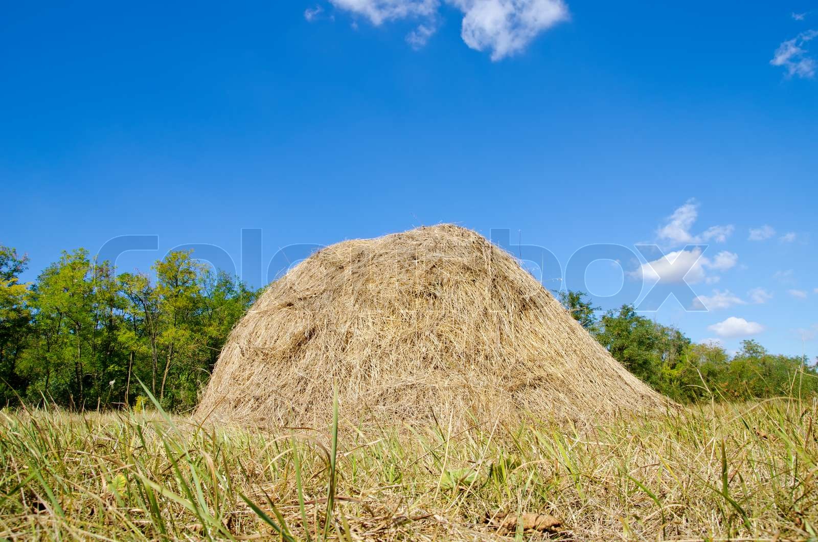 stack of straw Stock image Colourbox