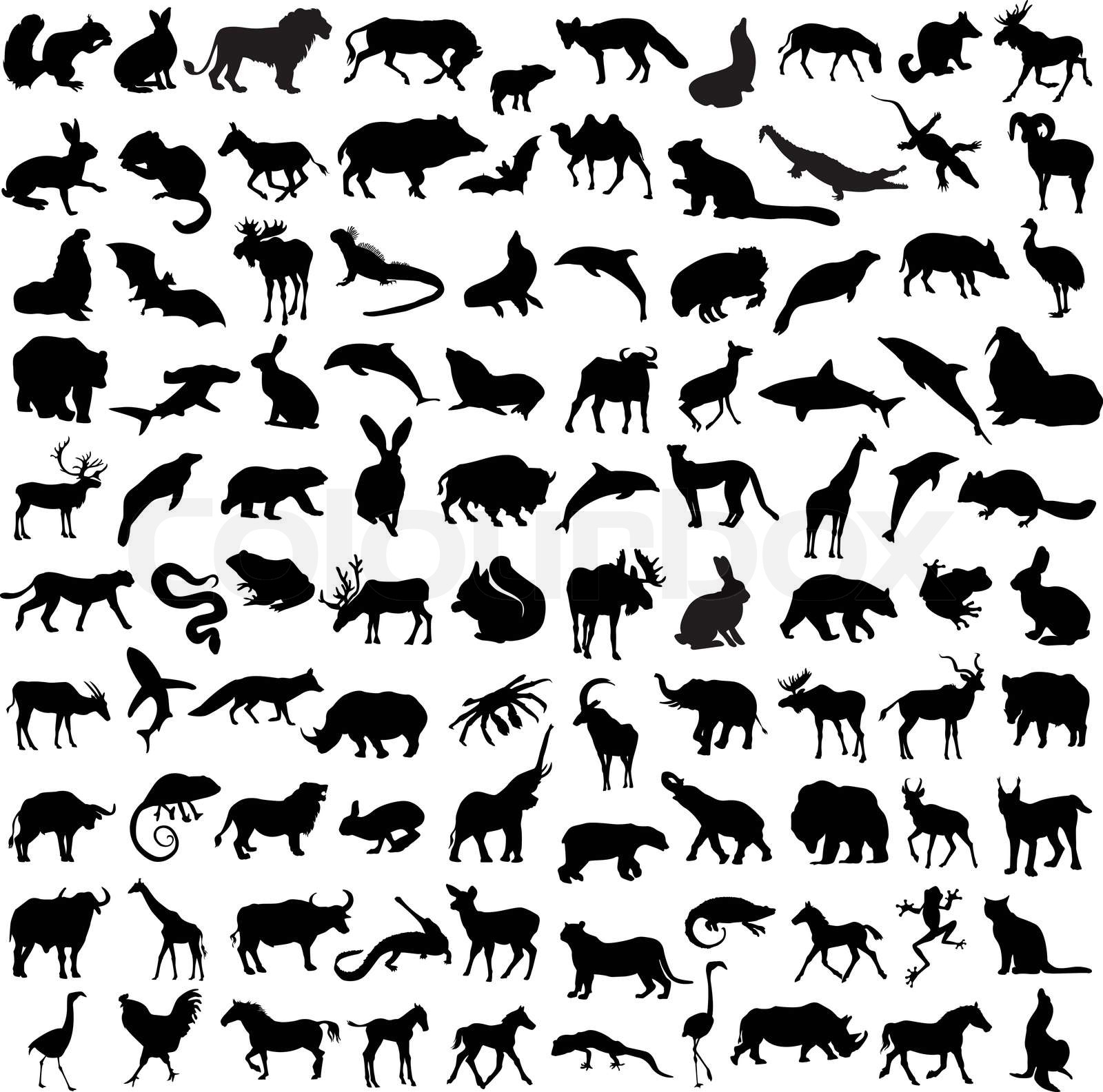 Hundred Silhouettes Of Wild Animals Birds And Reptiles Stock Vector 