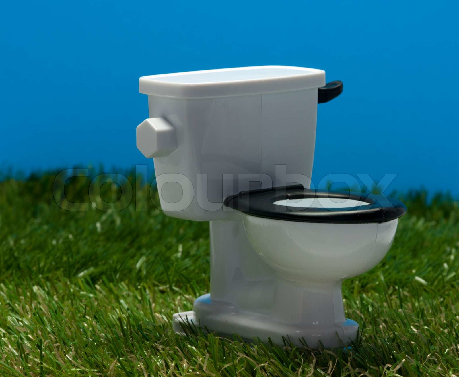 grass toilet
