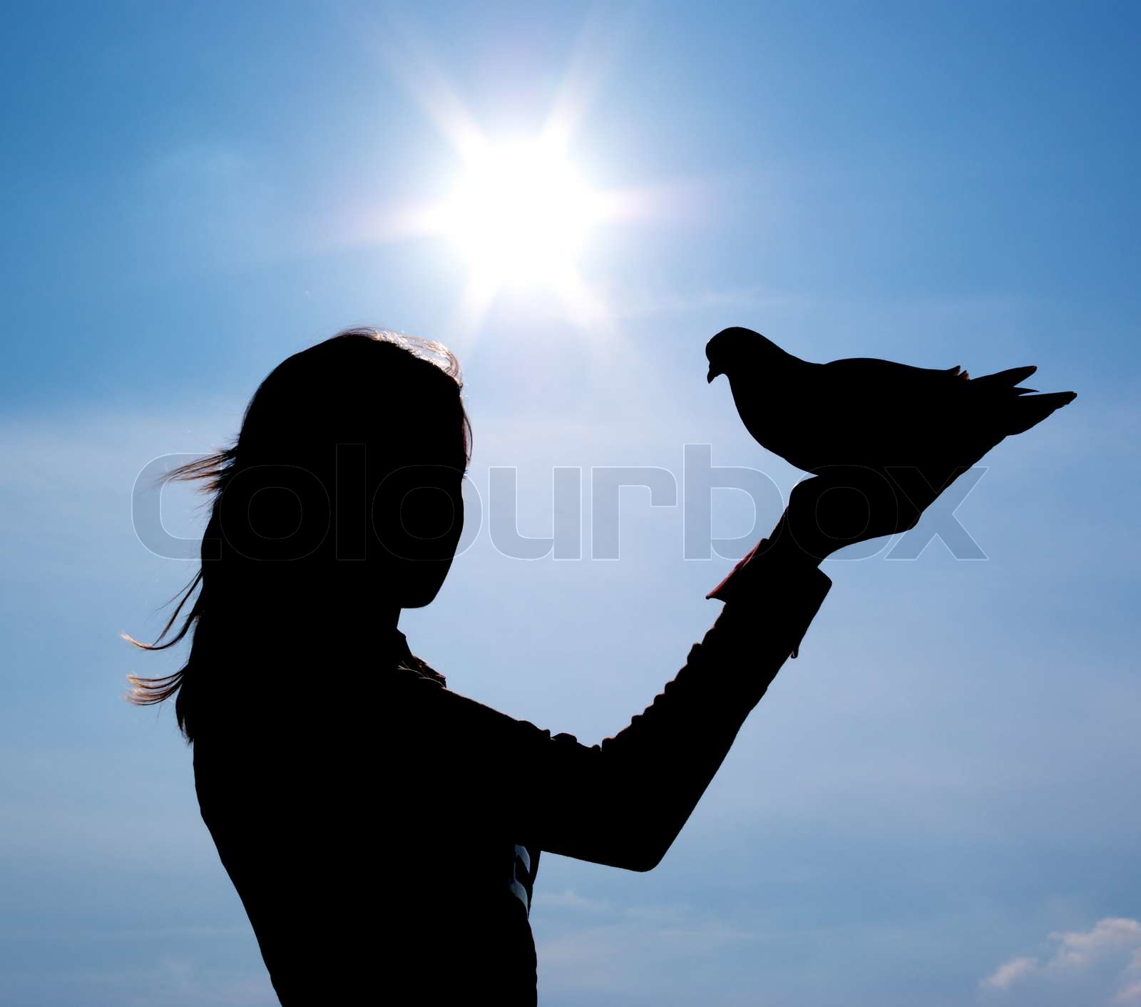 Girl with bird Stock image Colourbox