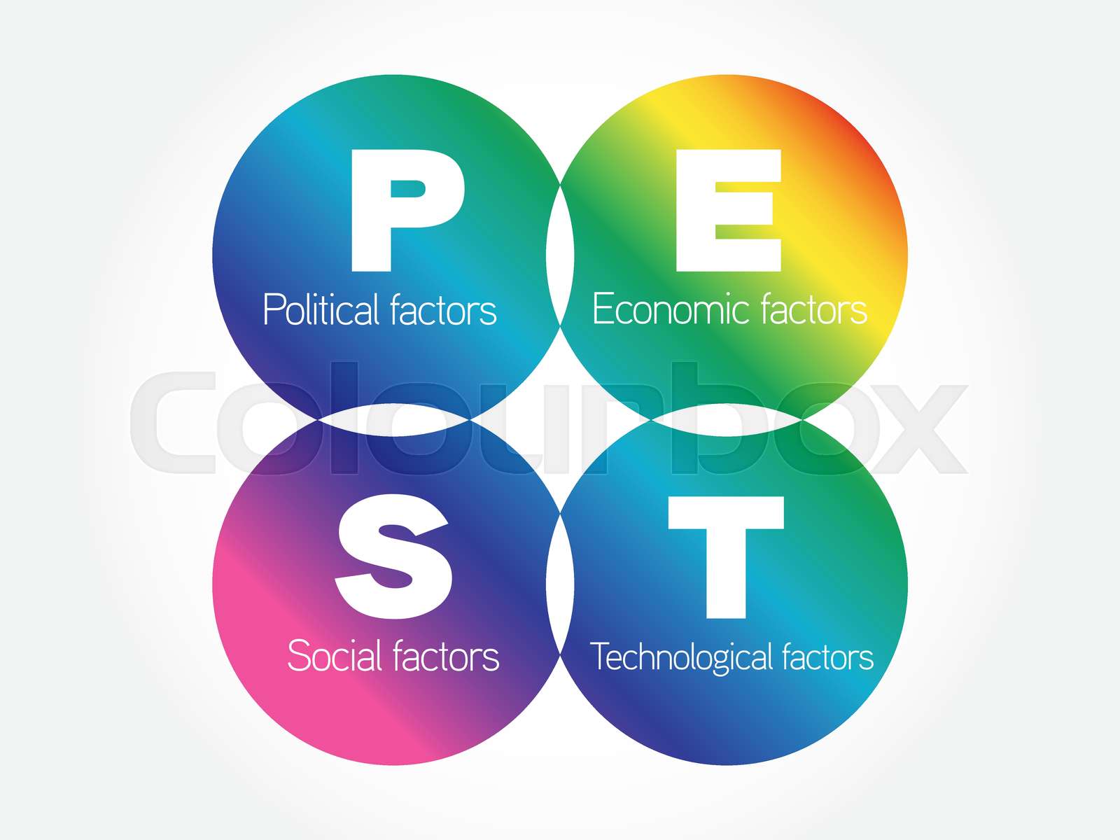 Pest Business Infographic presentation diagram Stock vector Colourbox
