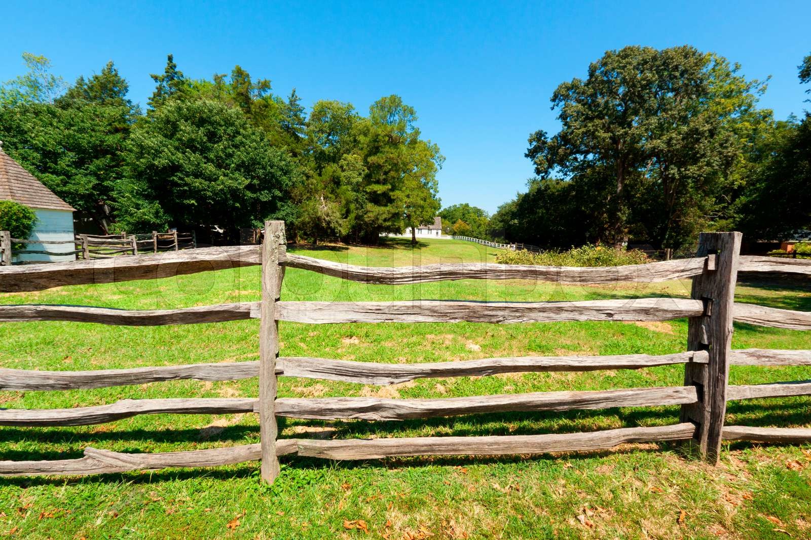 Old Farm Fence