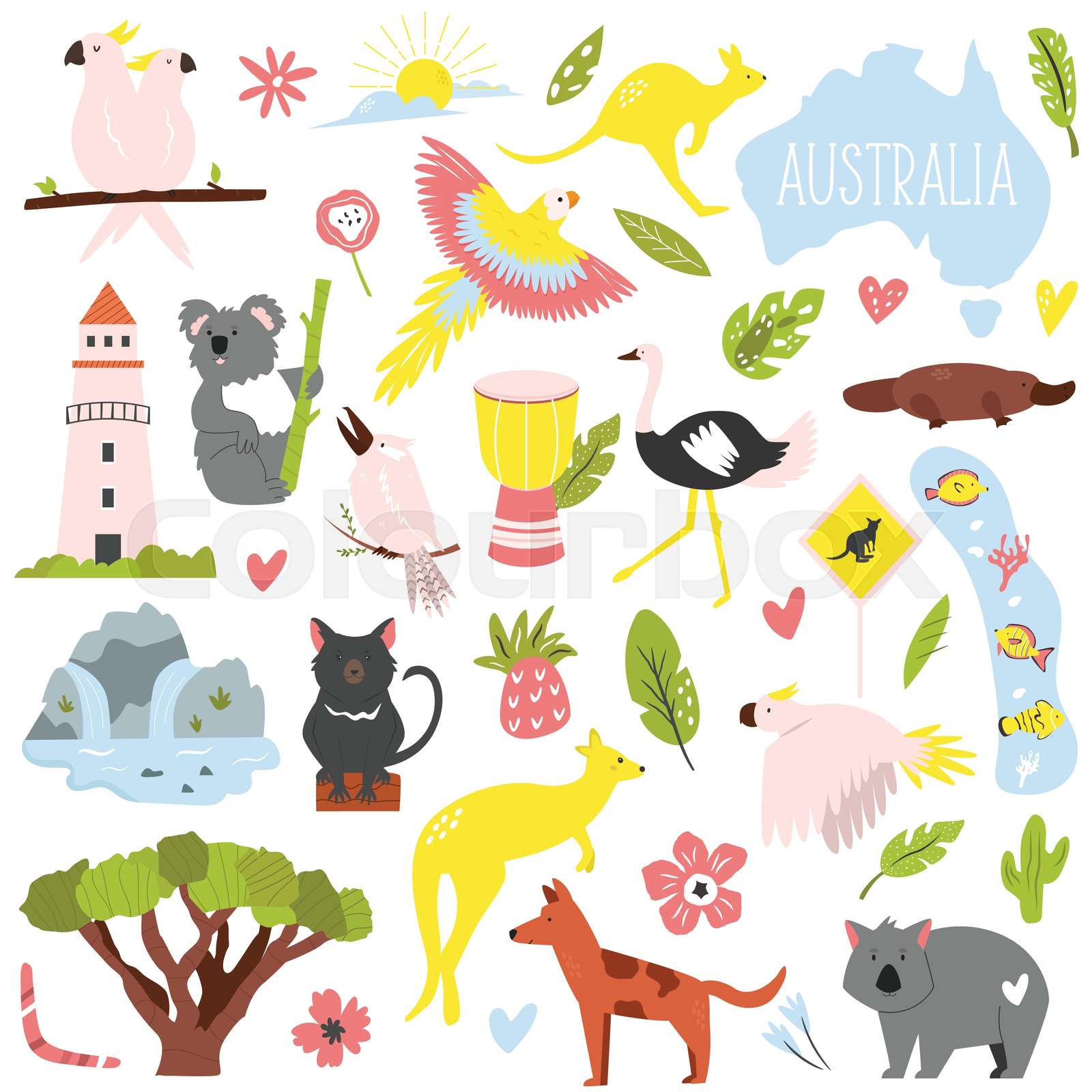 Big flat set of Australian animals and symbols. | Stock vector | Colourbox