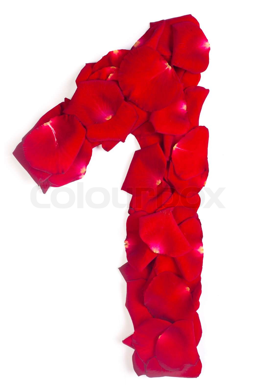 number 1 made from red petals rose on white | Stock image | Colourbox