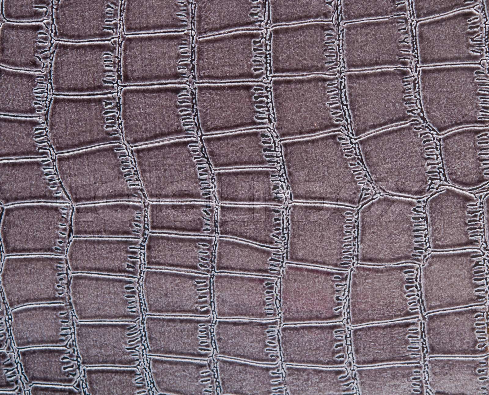 leder, struktur, haut | Stock Bild | Colourbox