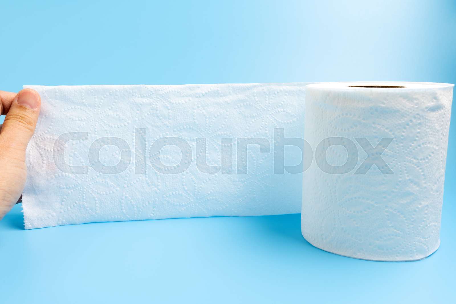 Single toilet paper roll | Stock image | Colourbox