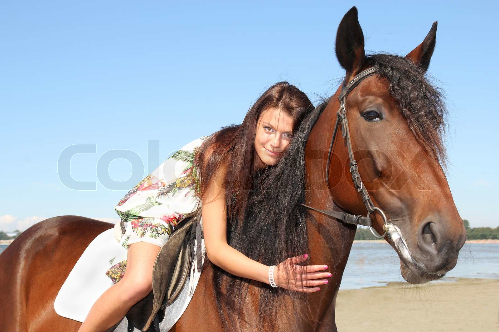 girl riding a horse | Stock image | Colourbox