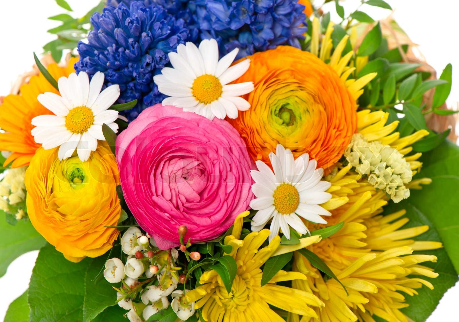 Blumenstrauß aus bunten Frühlingsblumen | Stock Bild | Colourbox