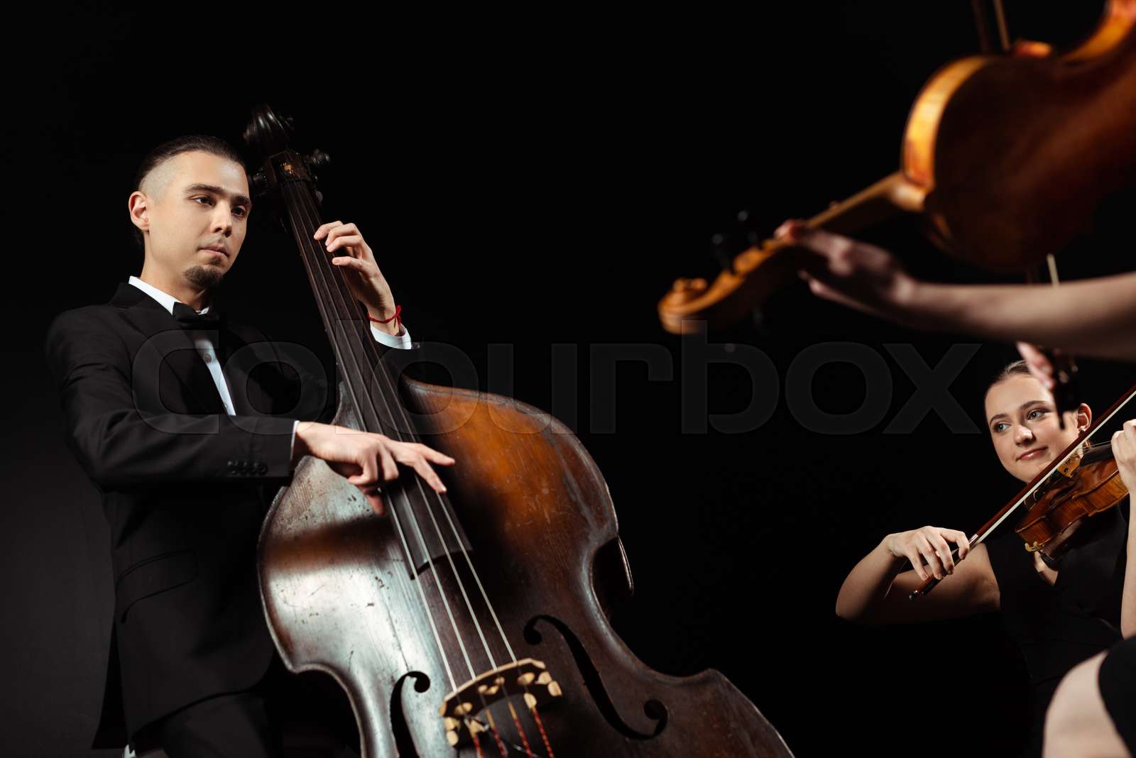 professional musicians playing on double bass and violins isolated on
