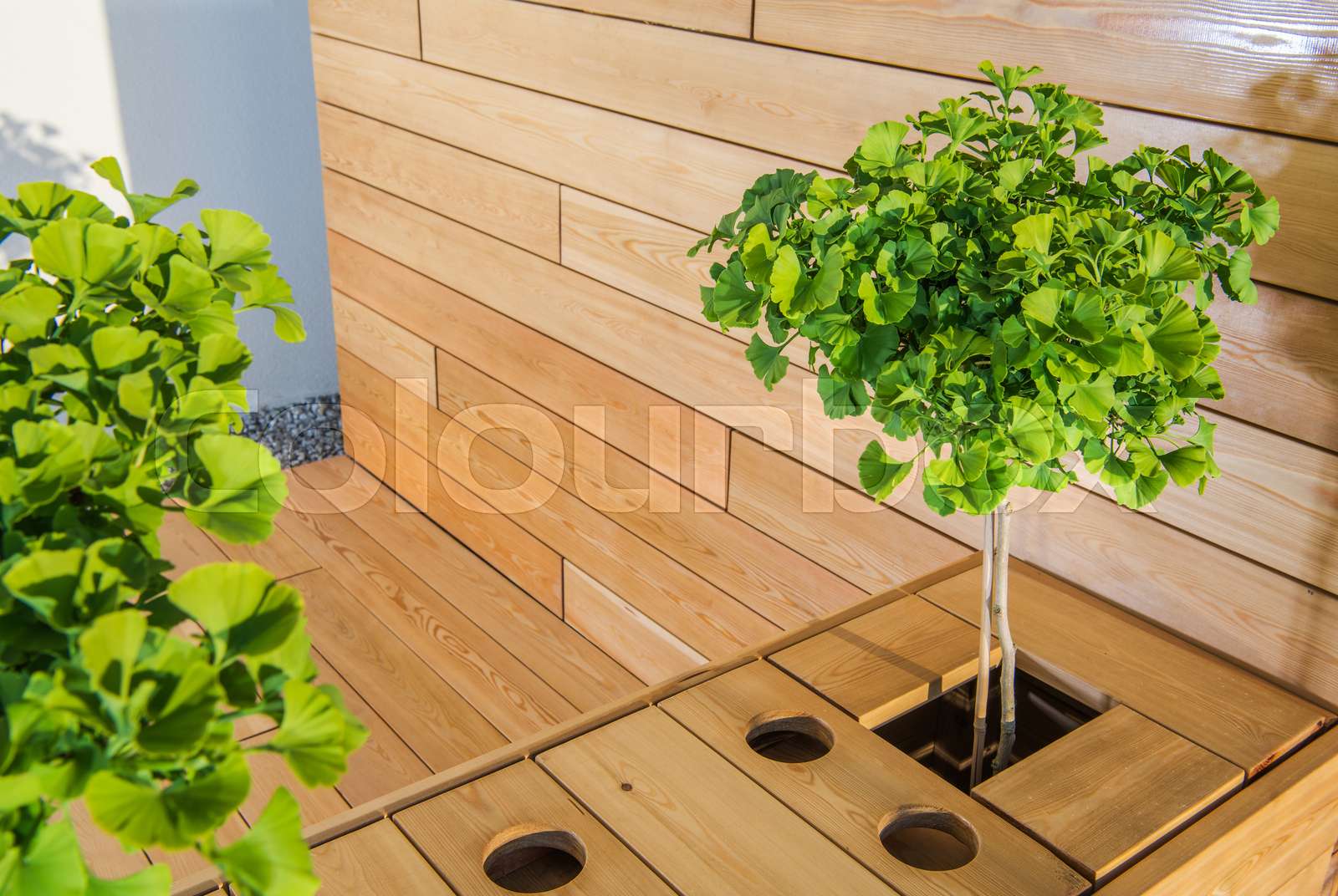 Custom Made Exotic Wood Garden Furniture And Porch Stock Image