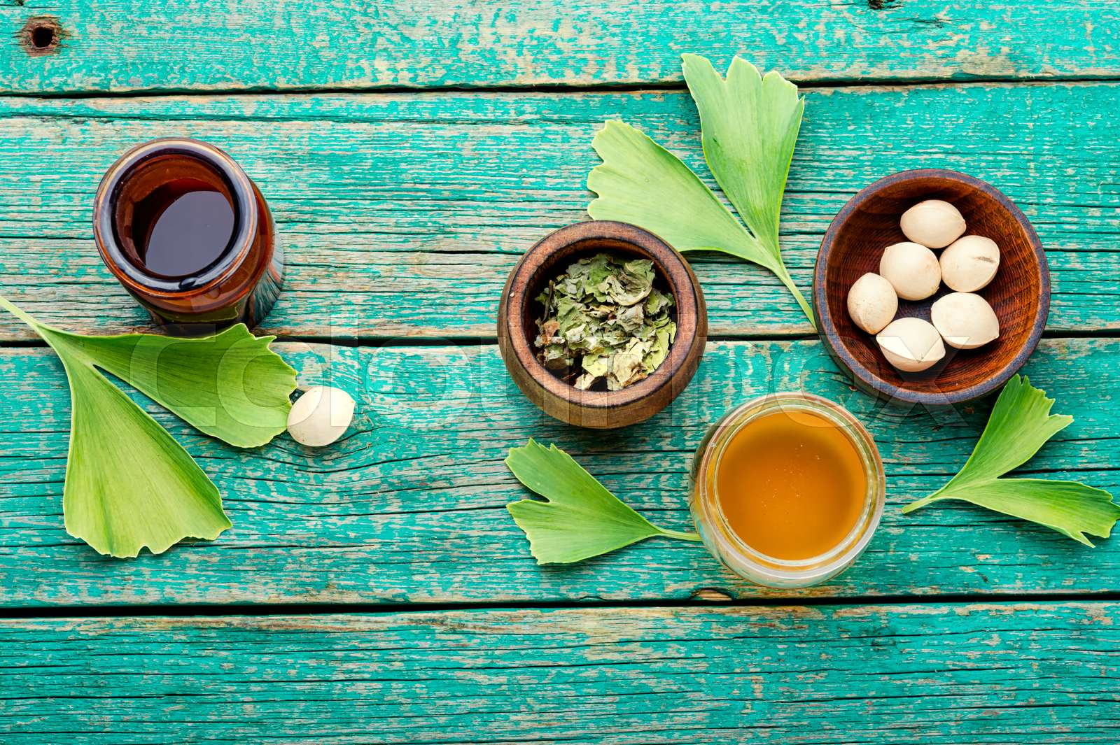 Ginkgo biloba in herbal medicine Stock image Colourbox