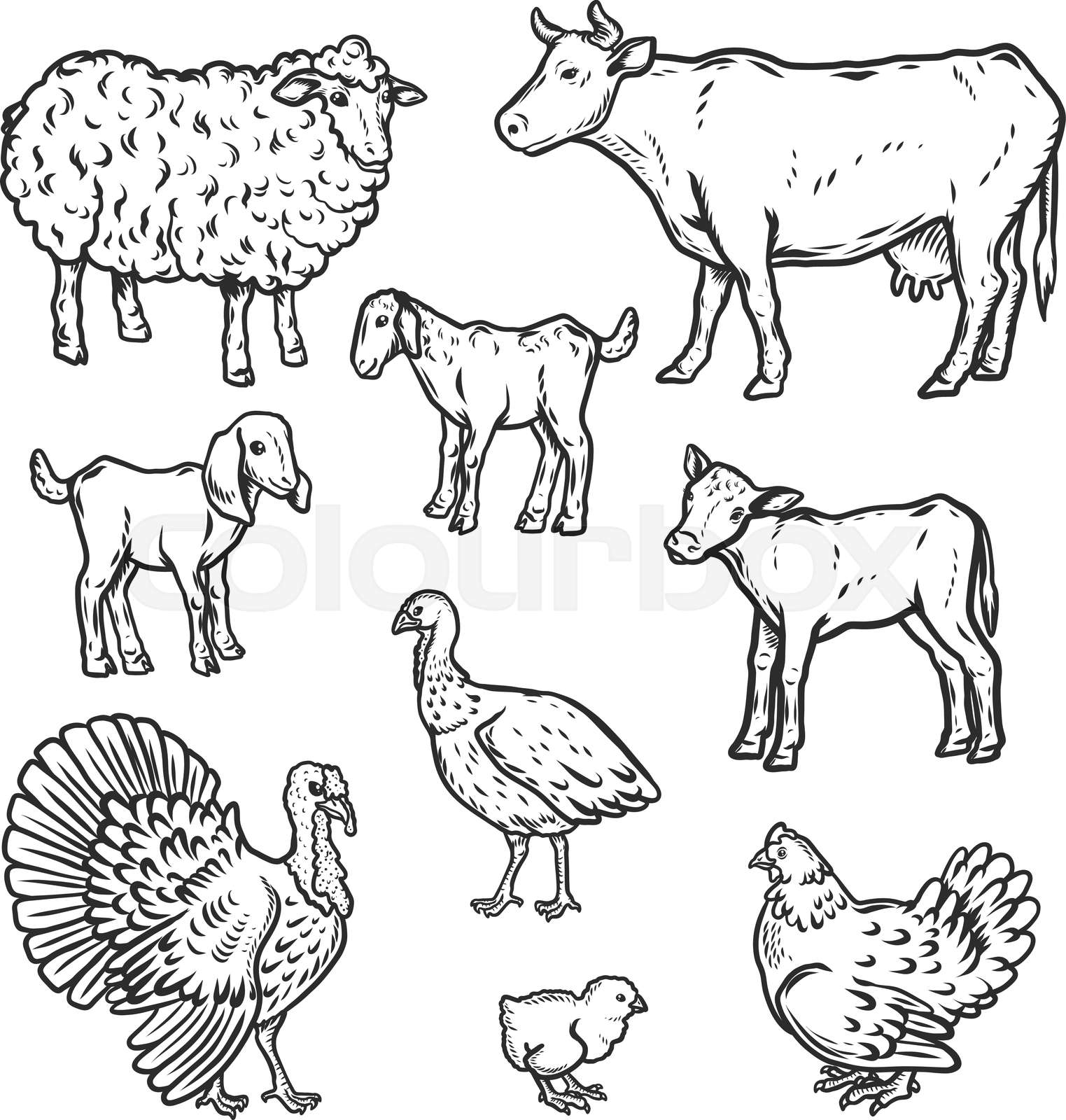 Clipart Farm Animals Black And White