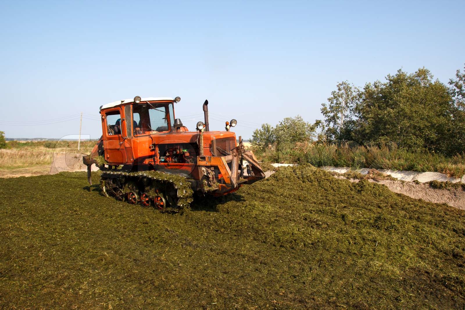 Herstellung von Silage Bestände für die Fütterung im winter Stock