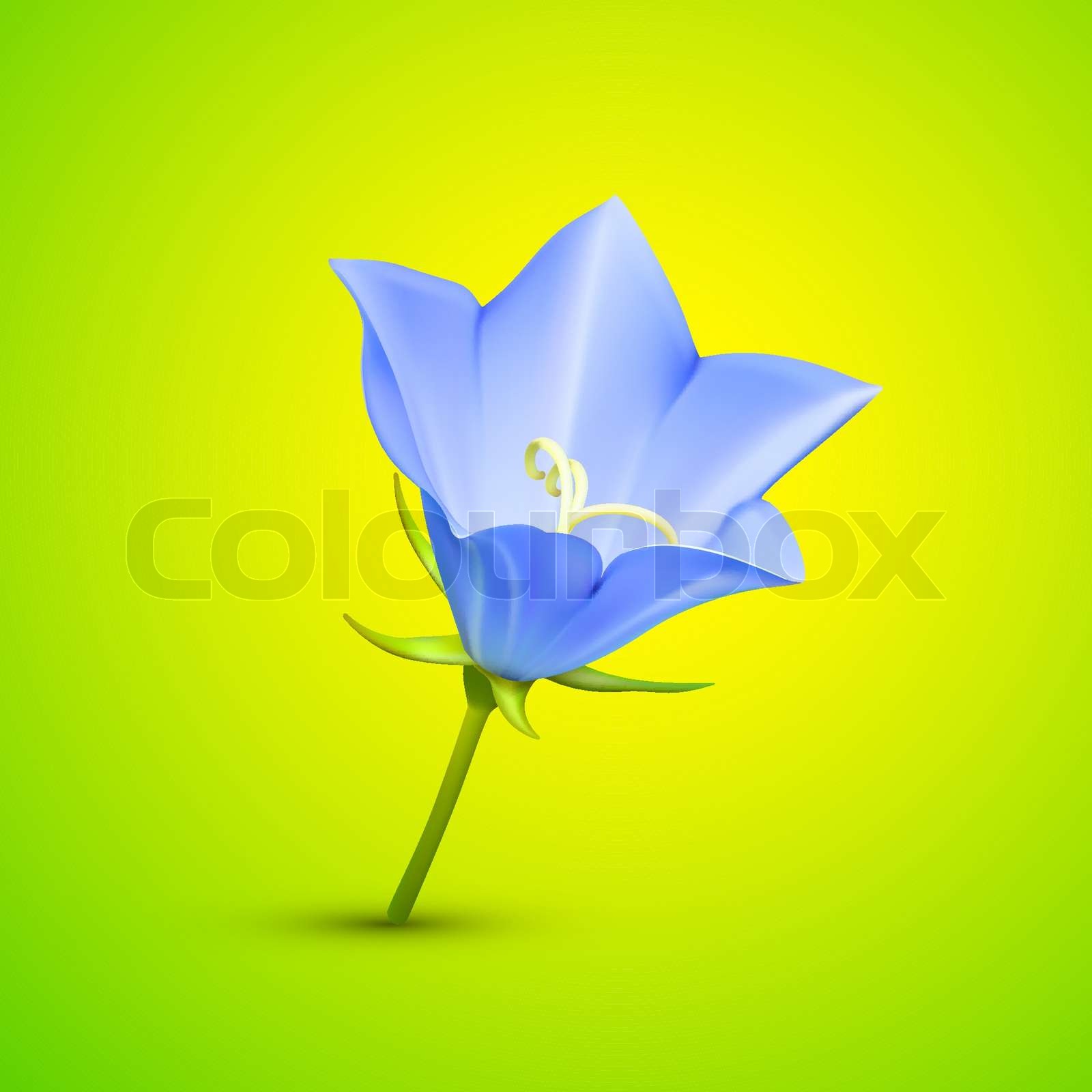 Bluebell flower abstract vector illustration | Stock vector | Colourbox