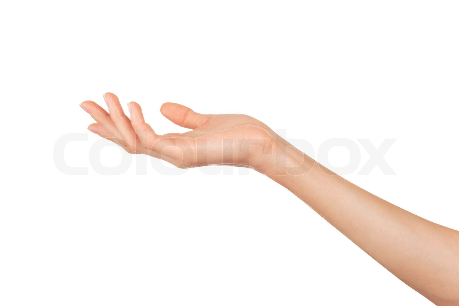 Woman's hand | Stock image | Colourbox
