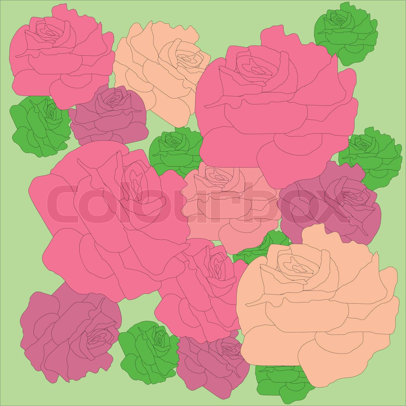 rose vector | Stock vector | Colourbox
