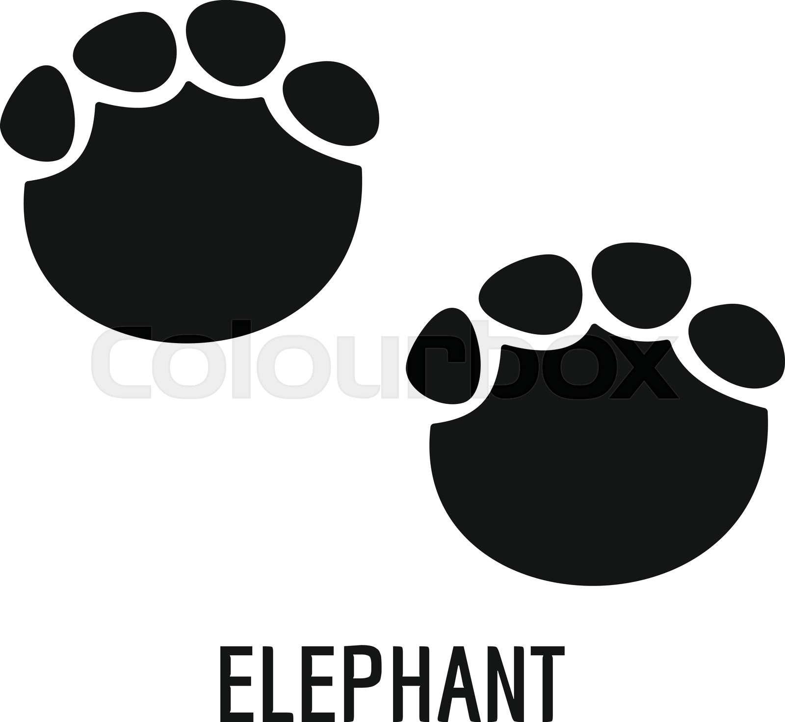 Elephant Footprint Template
