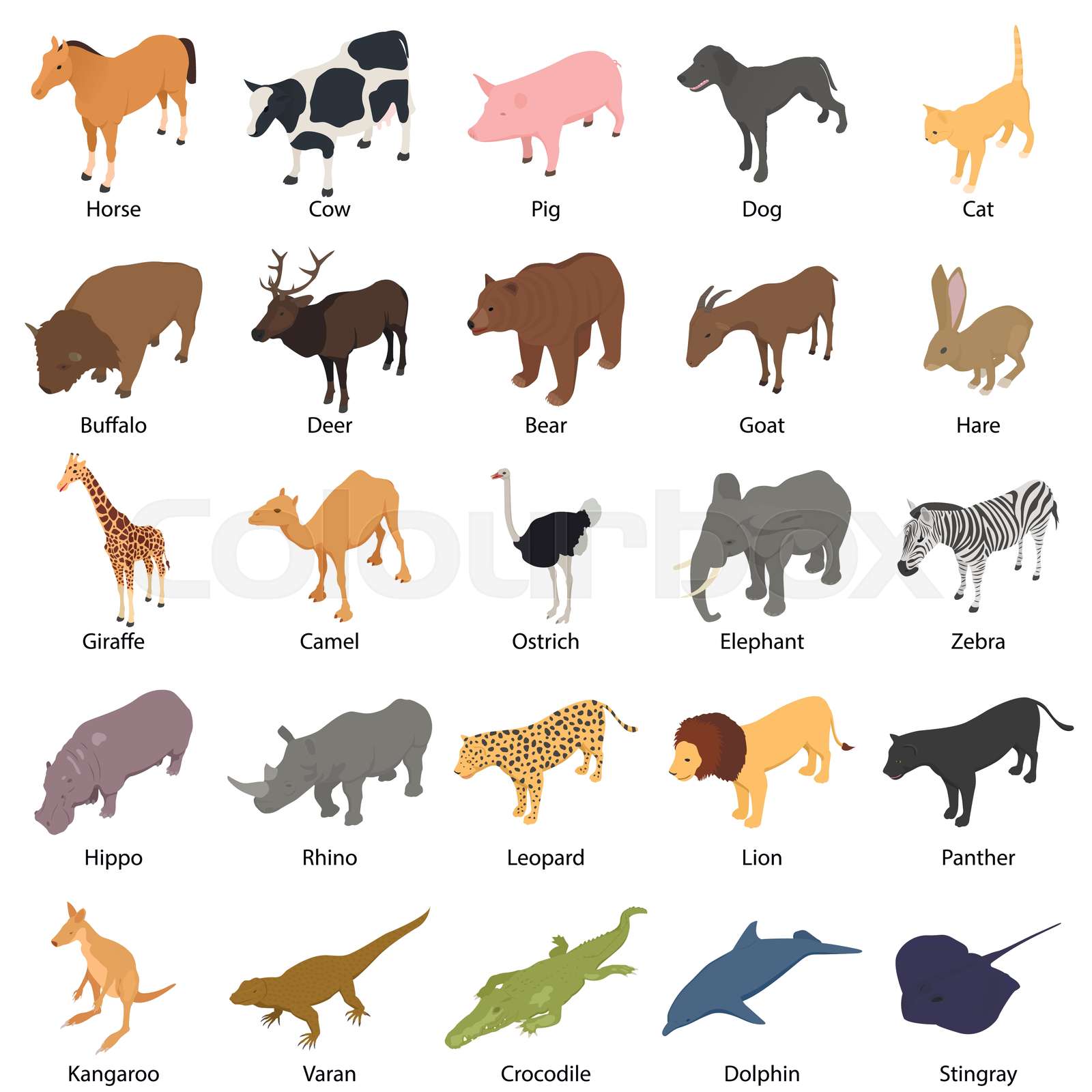 Different Types Of Animals With Pictures And Names
