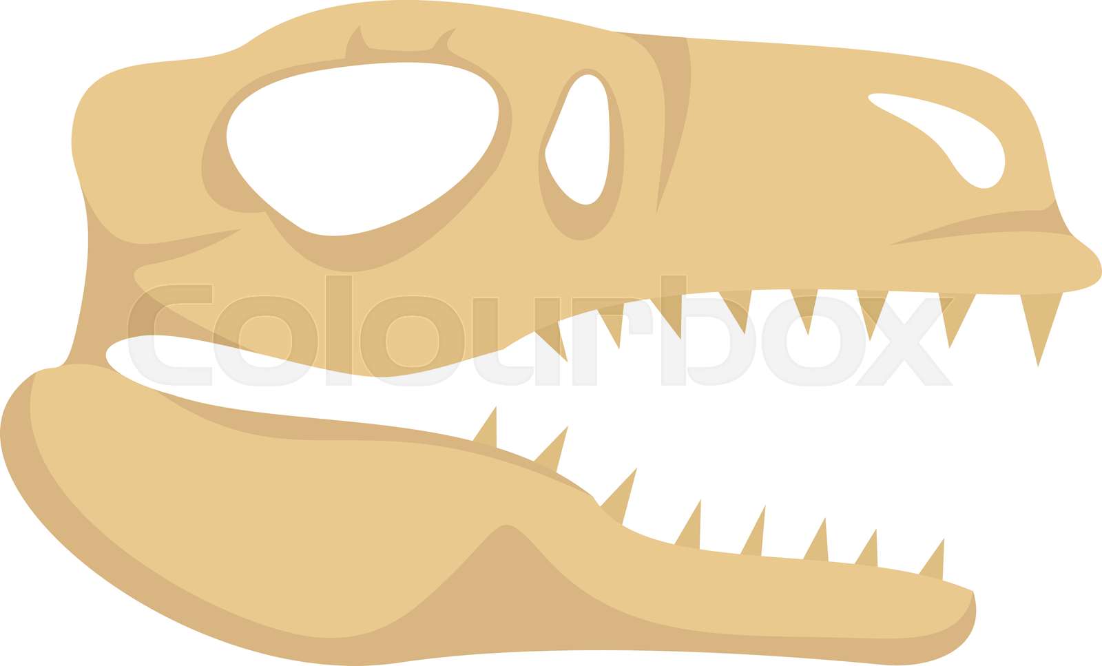 dino, schädel, kopf | Stock-Vektor | Colourbox