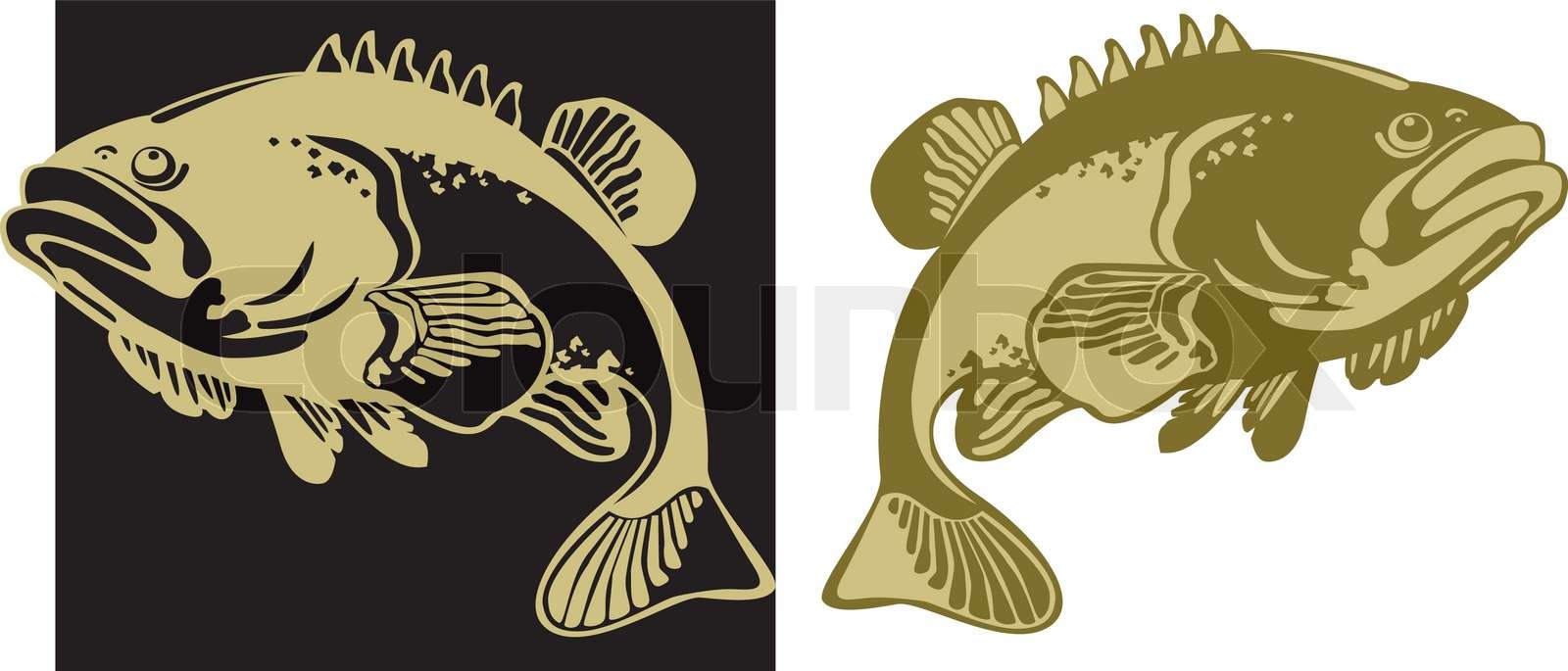 Fish Stock Vector Colourbox Fish Stock Vector Colourbox