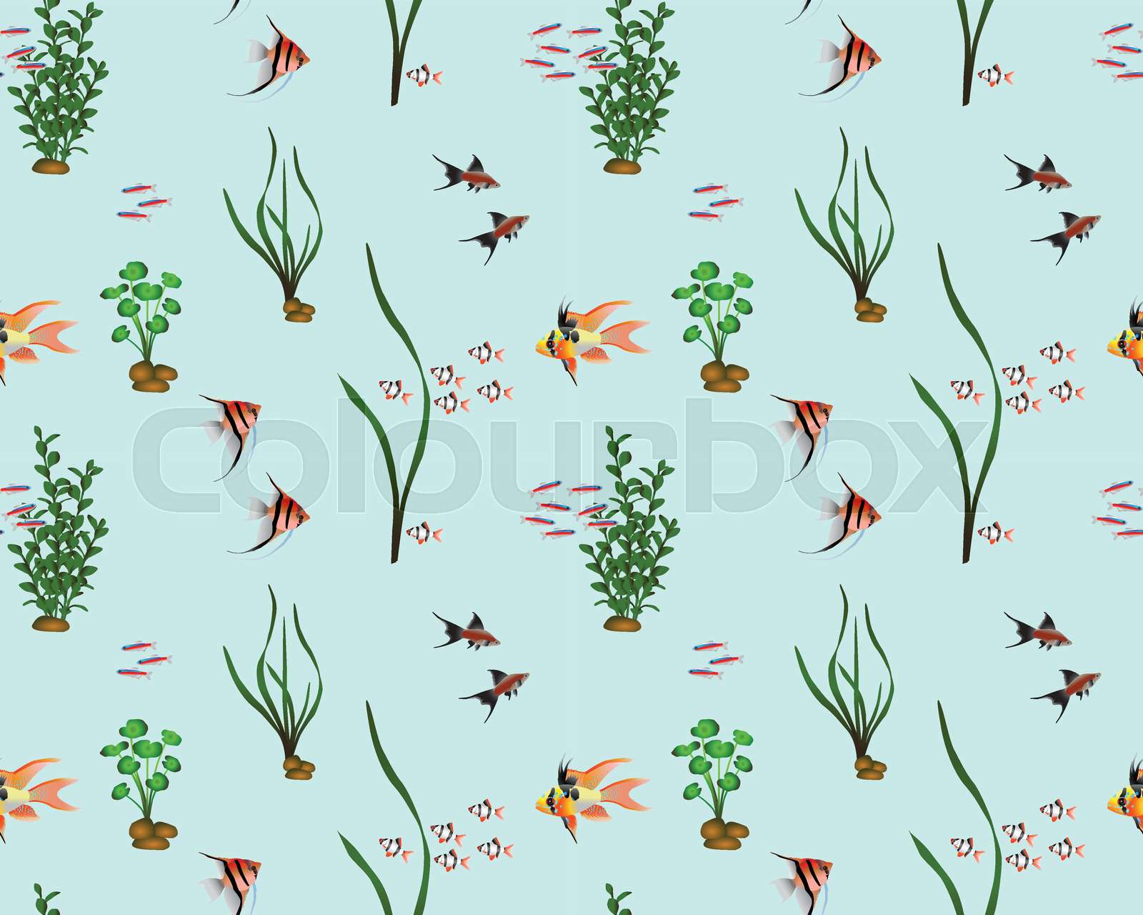 Freshwater fish colour | Stock vector | Colourbox
