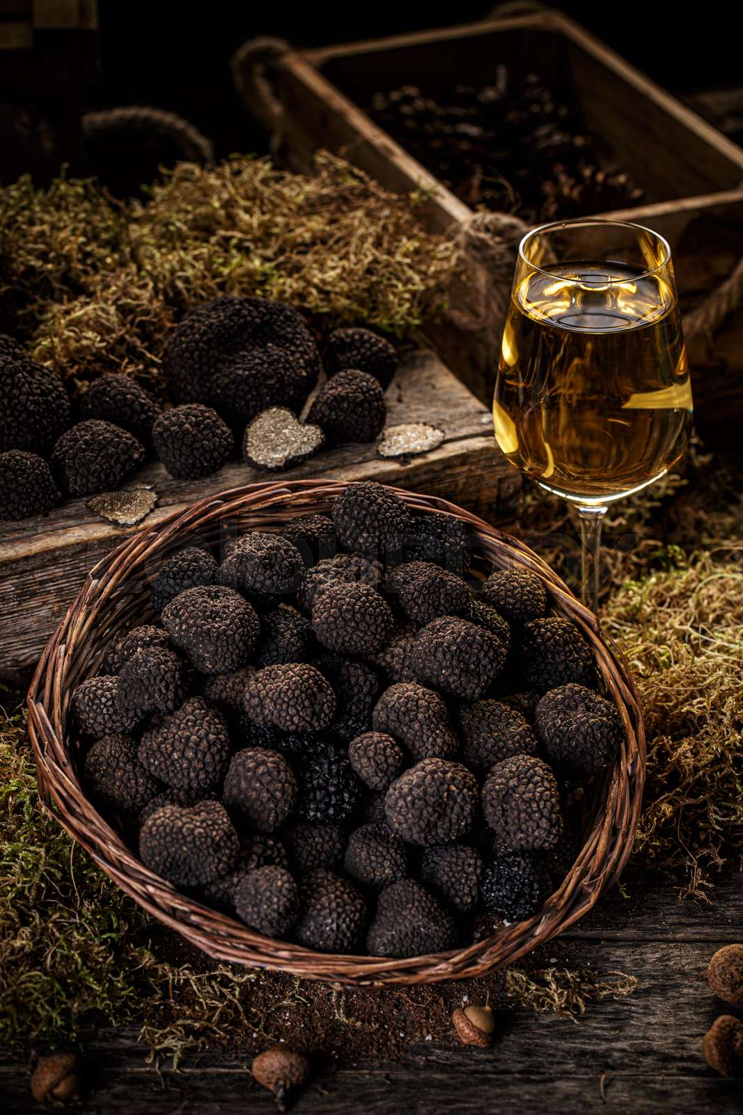 Black truffle mushroom Stock image Colourbox