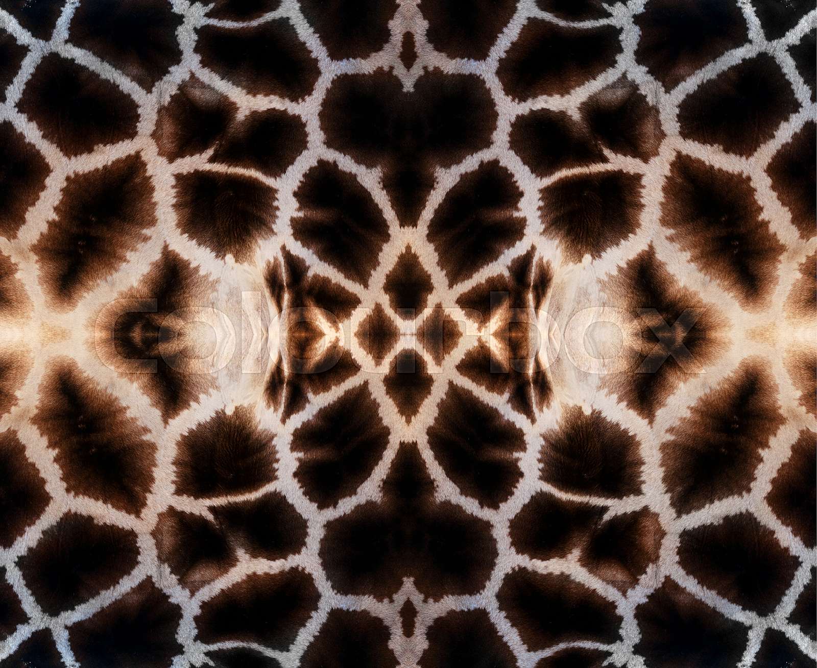 Giraffe Skin Colour