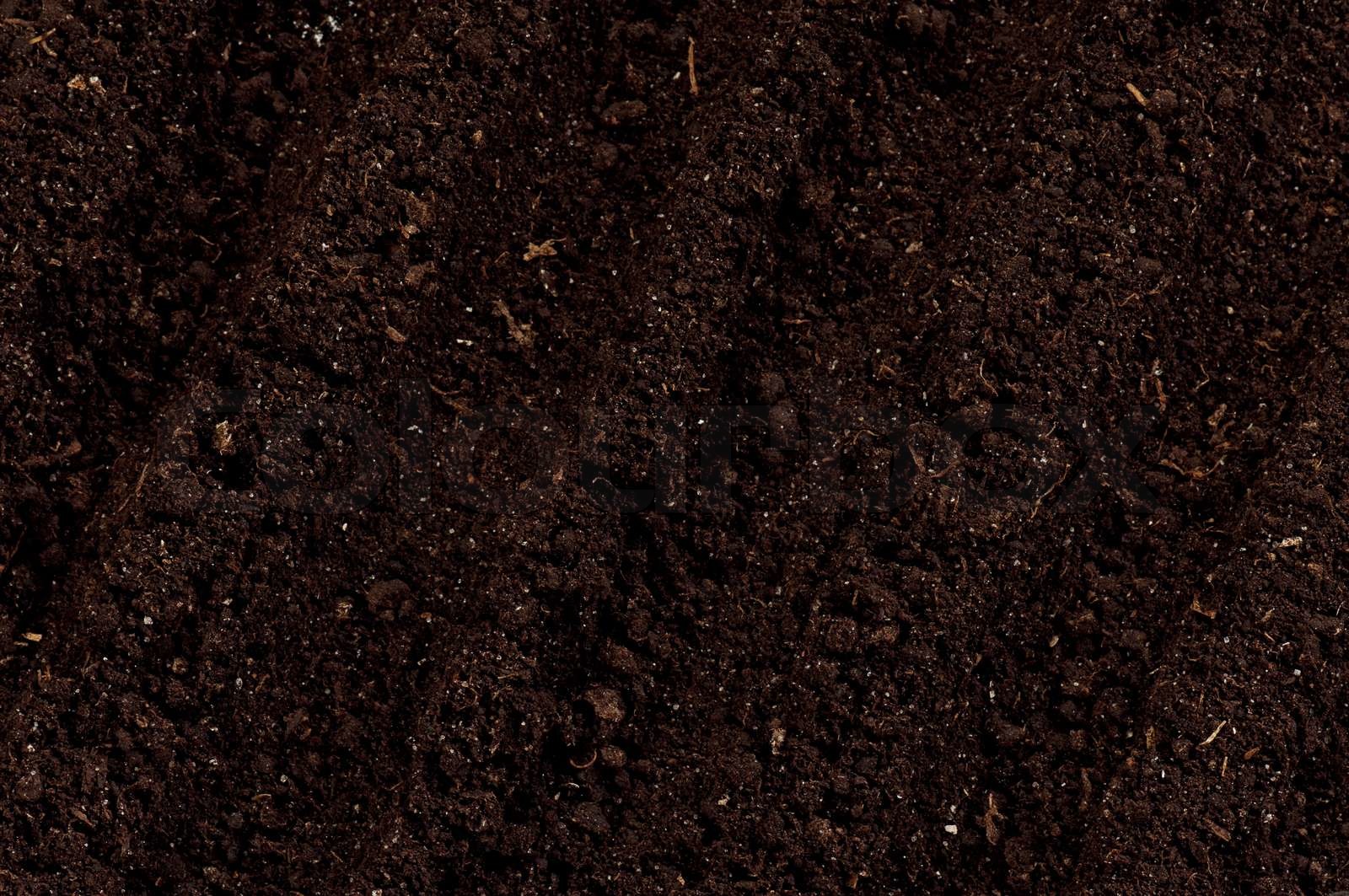 Soil background | Stock image | Colourbox