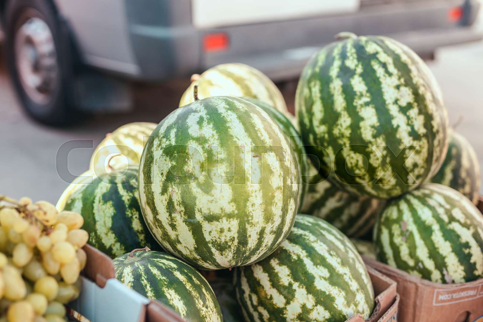 Many watermelons on the market. Ripe watermelons in the store on the