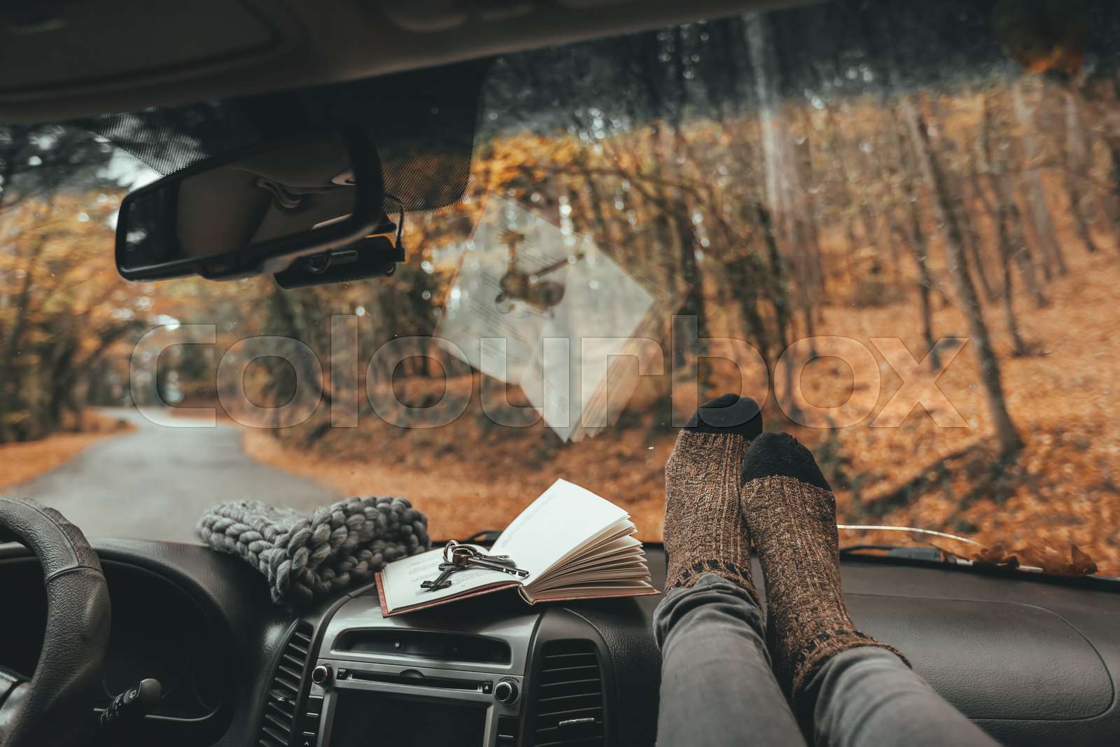 Fall trip looking inside of car. Autumn weekend to the forest.