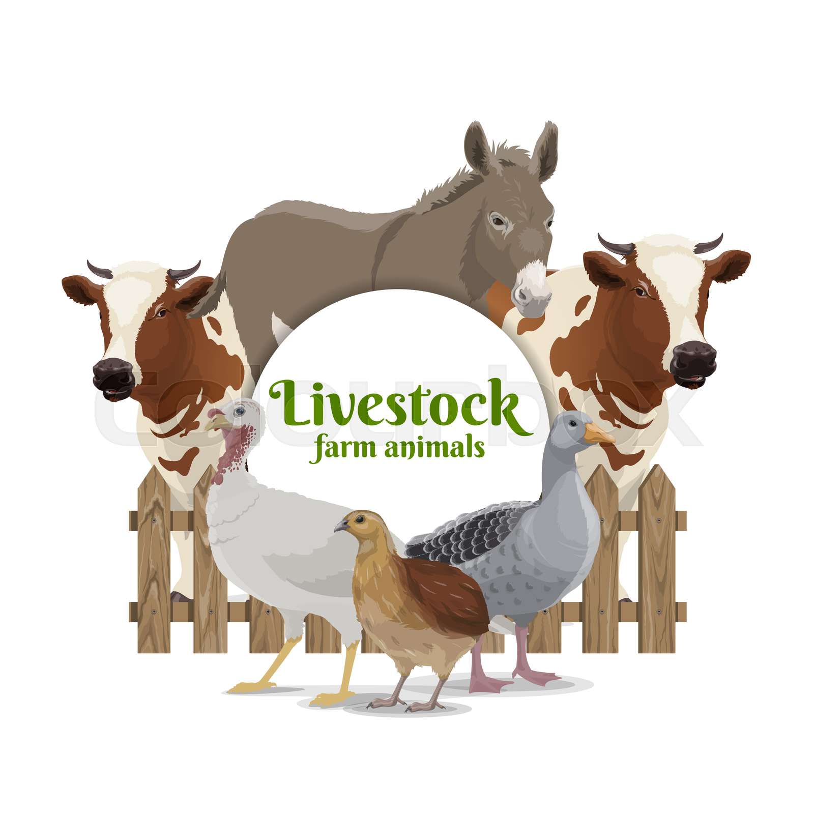 Farm livestock and poultry vector round banner | Stock vector | Colourbox