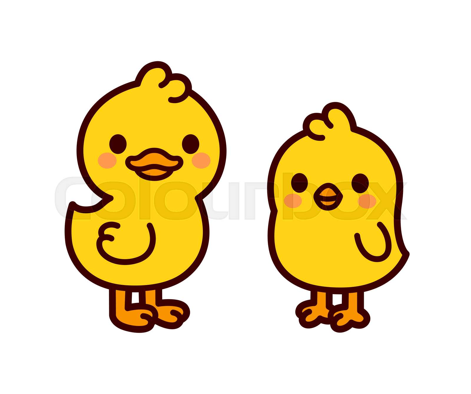 chicken and duck