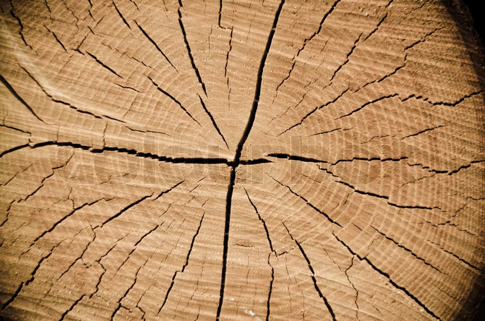 Crack wood spiral Stock image Colourbox