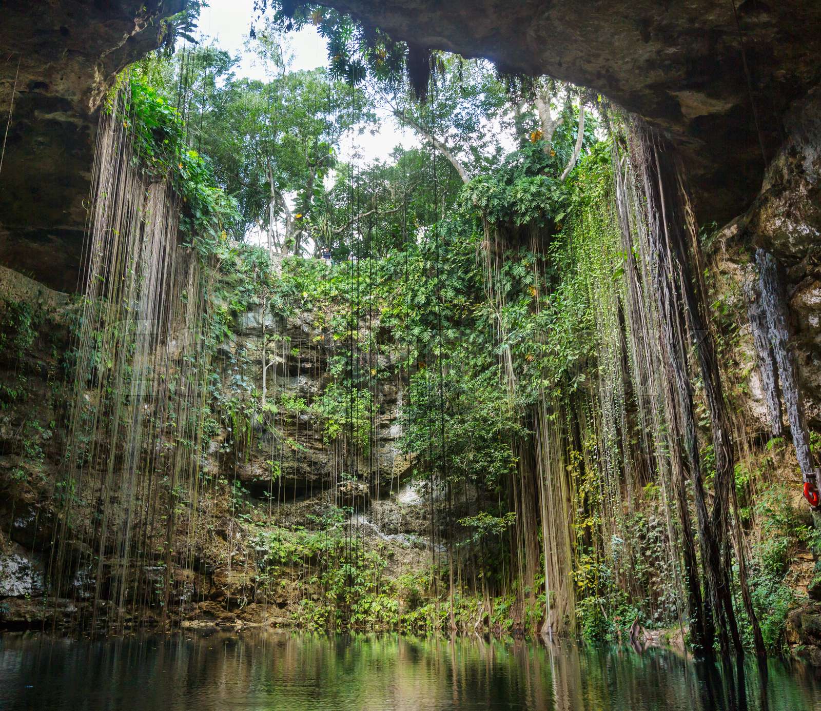 cenote cenote
